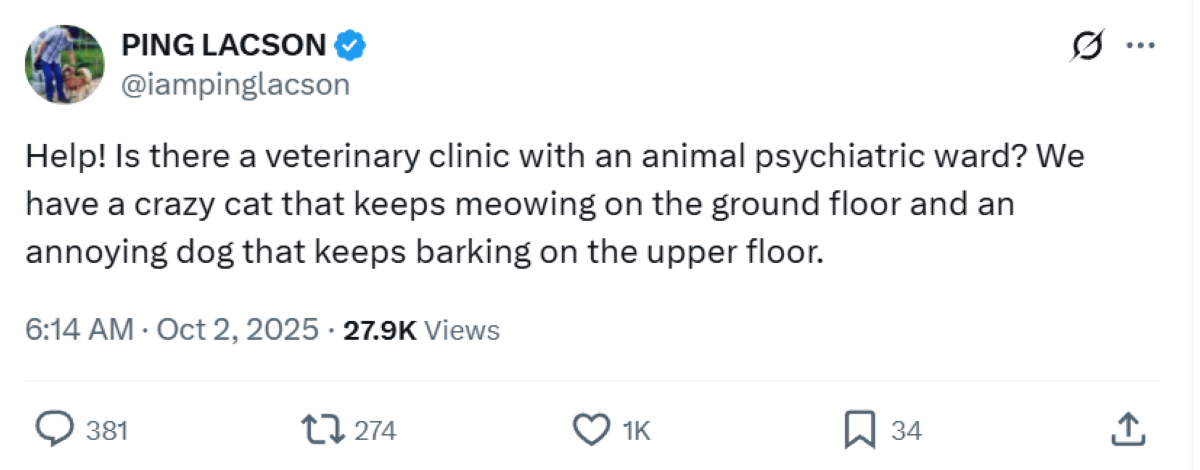 Photo courtesy: Ping Lacson(X)