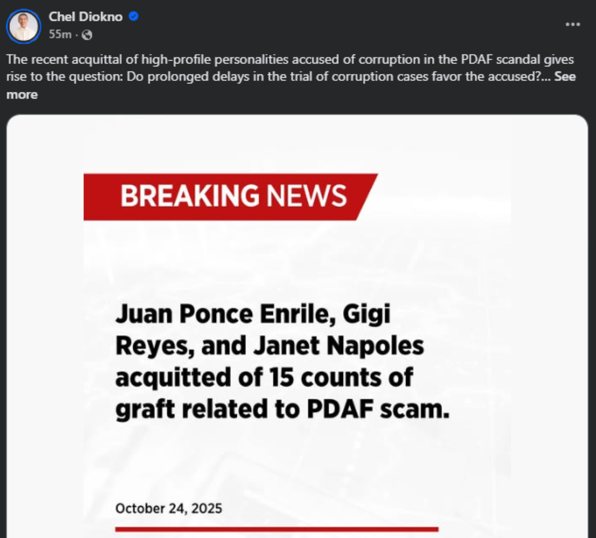 Photo courtesy: Chel Diokno (FB)