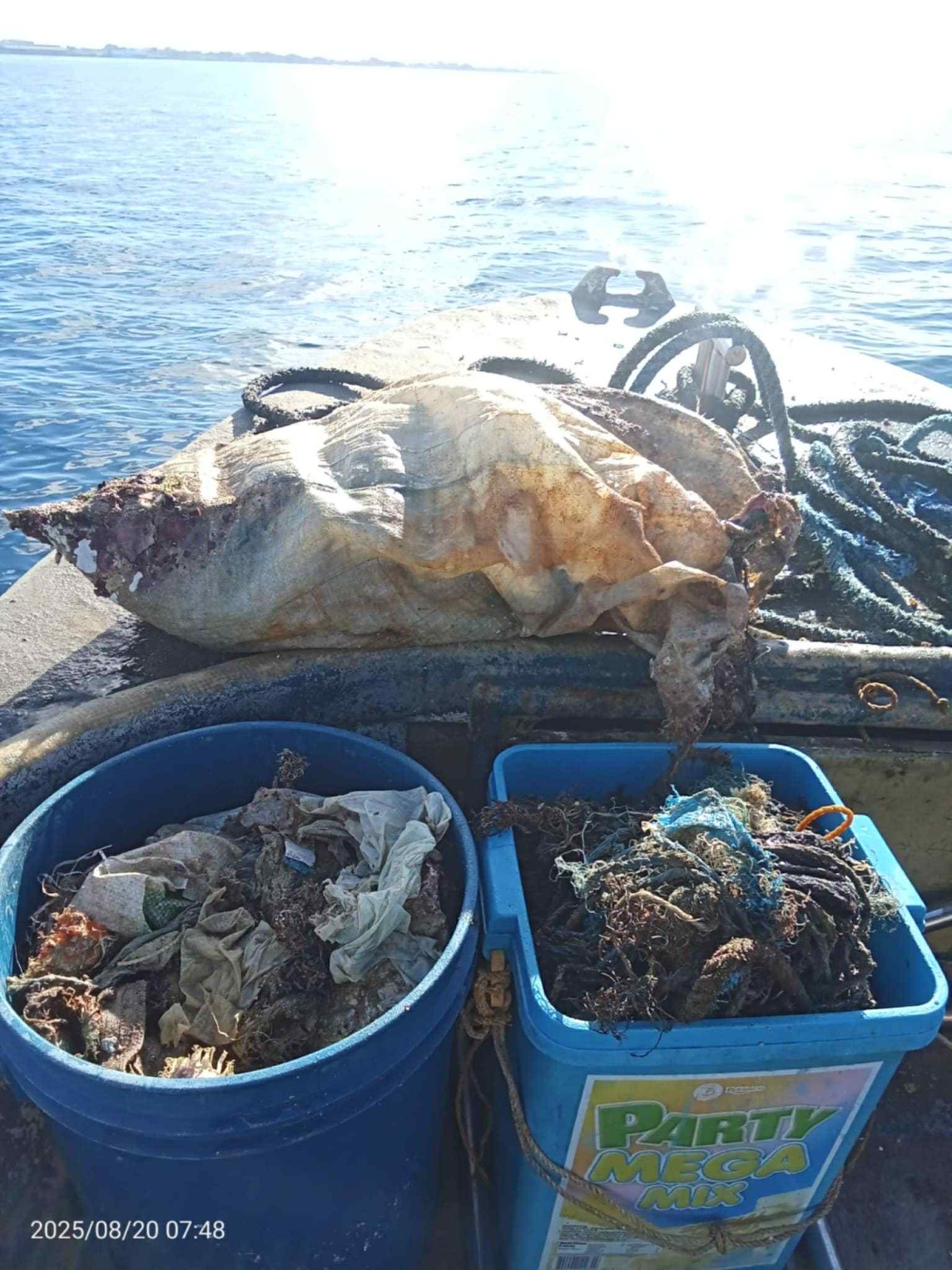 Photo courtesy: Harvey Yap (FB)