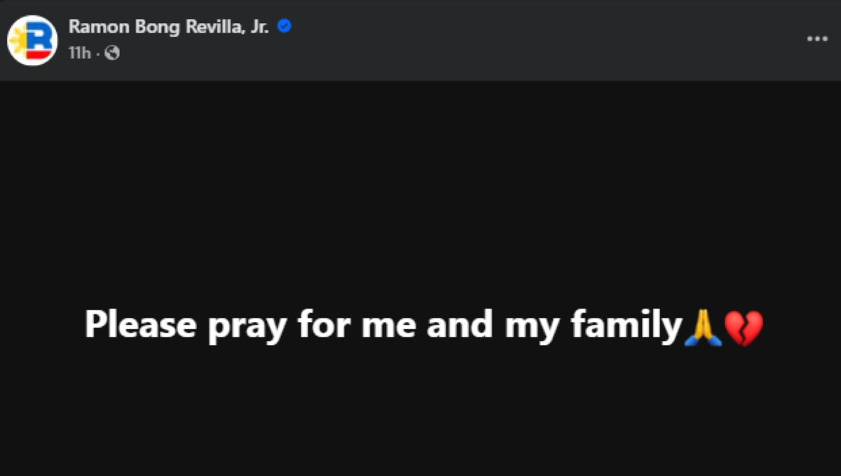 Photo courtesy: Ramon Bong Revilla, Jr. (FB)