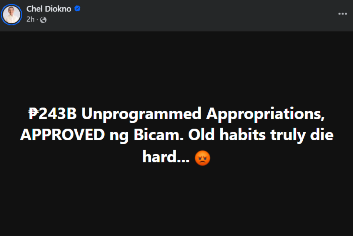 Photo courtesy: Chel Diokno (FB)