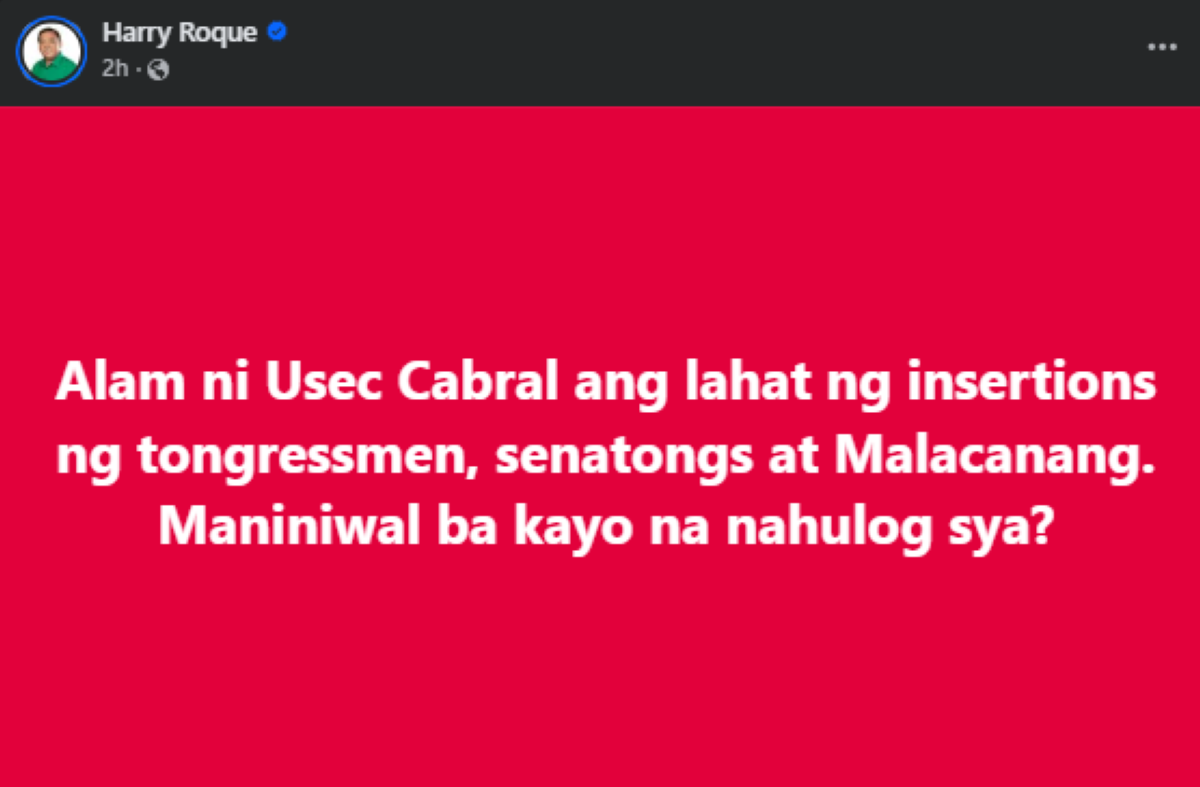 Photo courtesy: Harry Roque (FB)