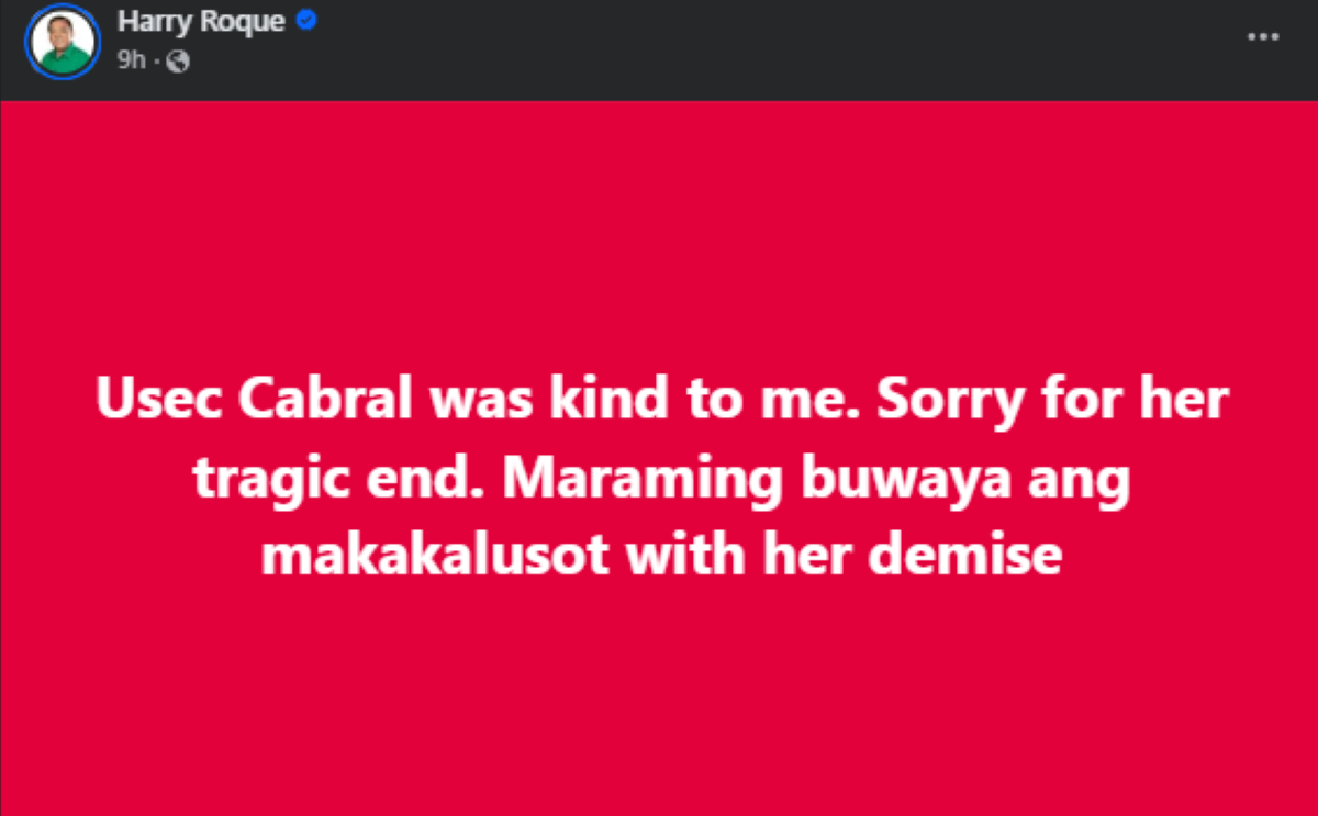 Photo courtesy: Harry Roque (FB)