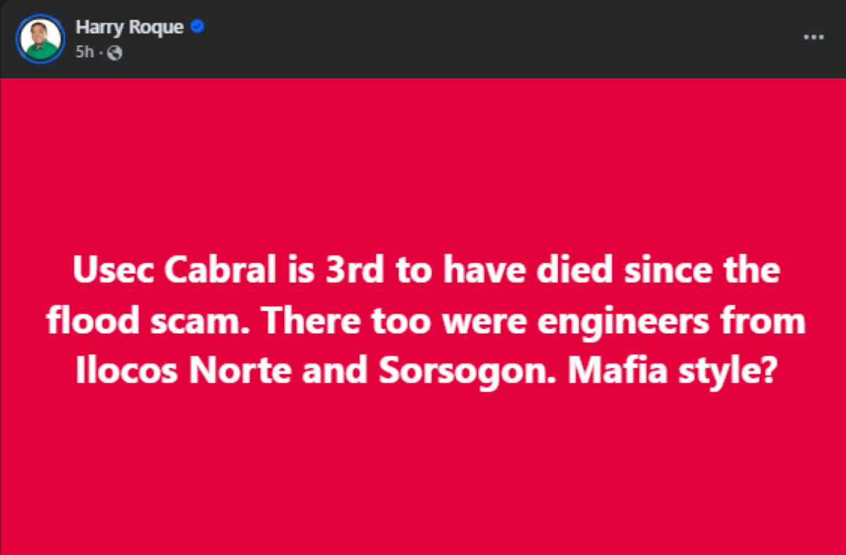 Photo courtesy: Harry Roque (FB)