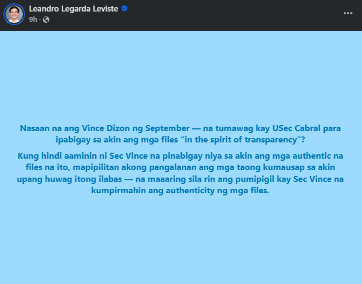 Photo courtesy: Leandro Leviste (FB)