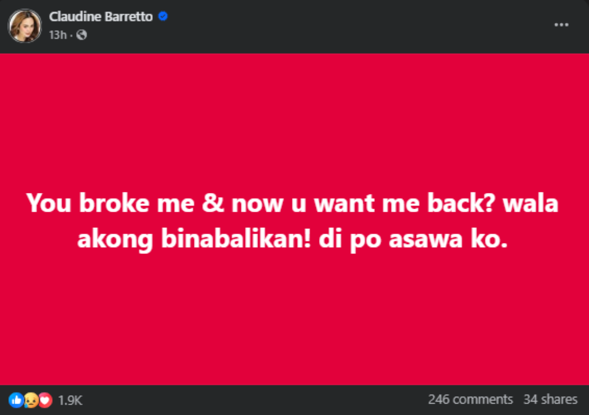 Photo courtesy: Claudine Barretto (FB)