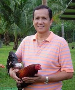 ANTONIO: Tinaguriang sabong Idol.