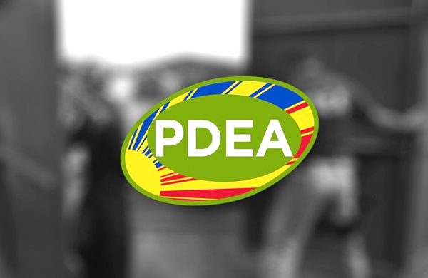 P5.73-M ecstasy, cocaine, nasamsam sa hotel