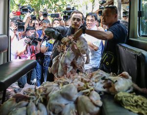BOTCHA NAMAN, OH! Personal na inihatid ngayong Huwebes ni Manila Mayor Isko Moreno sa Manila Zoo ang ipakakain sa mga tigre na mga karneng botcha na nakumpiska sa Paco, Manila, nitong Miyerkules ng gabi. (RIO DELUVIO)