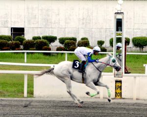 SOLONG tumawid sa finish line ang kampeong Union Bell.