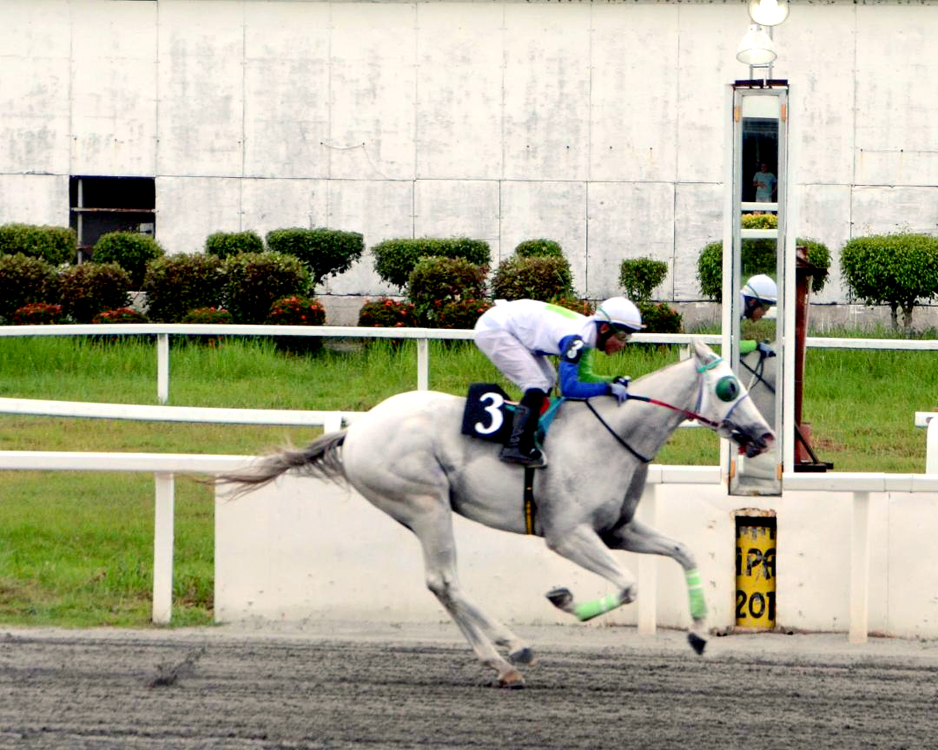 Union Bell, humataw sa Juvenile Stakes Race